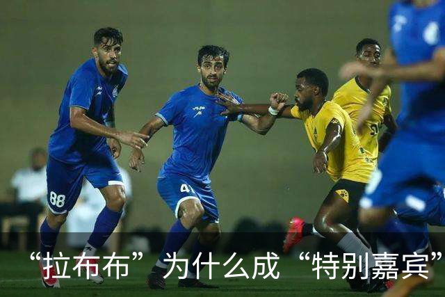 “拉布布”为什么成“特别嘉宾”？